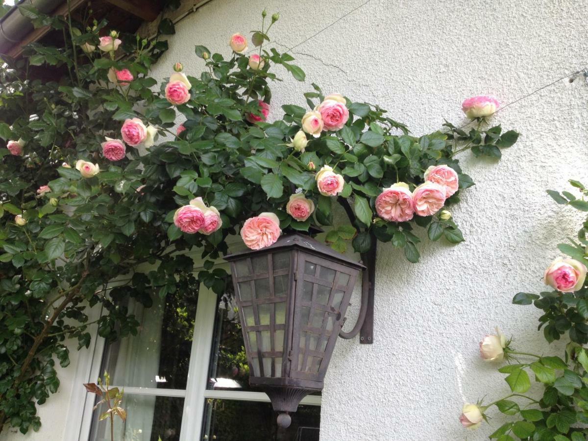 Villennes-sur-Seine Le Petit Val Rose 빌라 외부 사진